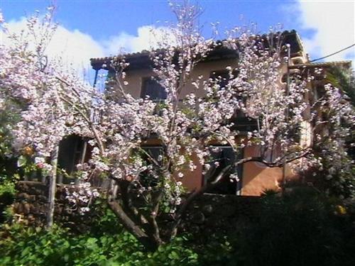 Holiday home - 4 persons -  - Garafía - 38787