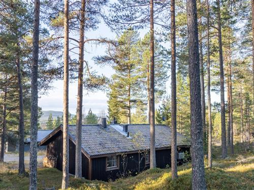 Holiday home - 6 persons -  - Lofsdalen - 84296
