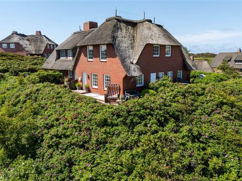 Sommerhus - 4 personer -  - Dikstieg - 25999 - Kampen (Sylt)