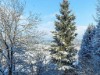 Bild 38 - Aussen