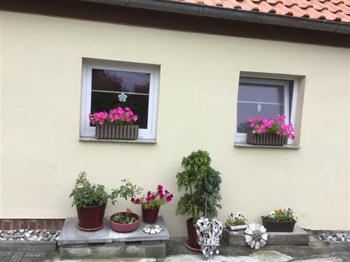 Holiday Home/Apartment - 6 persons -  - Oststraße - 17373 - Ueckermünde