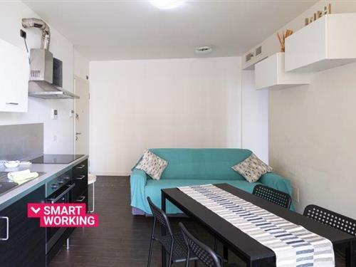 Ferienhaus - 4 Personen -  - 17100 - Savona