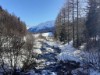 Bilde 19 - Ude