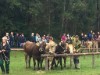 Bild 64