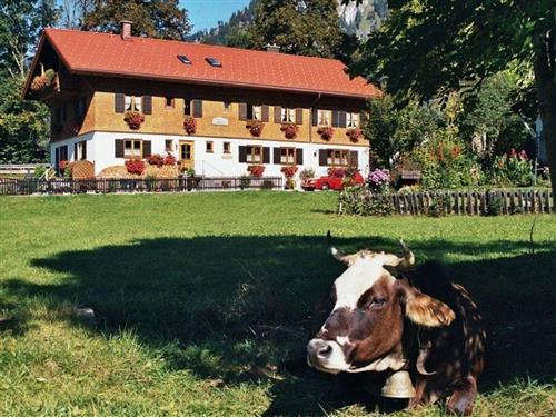 Ferielejlighed - 4 personer -  - Mühlweg - 87541 - Bad Hindelang / Bad Oberd