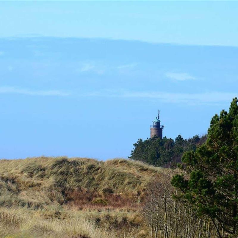 Ferielejlighed - 3 personer -  - Hummergrund - 25826 - St. Peter-Ording