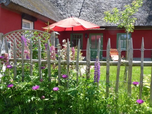 Fritidshus - 2 personer -  - 18375 - Born