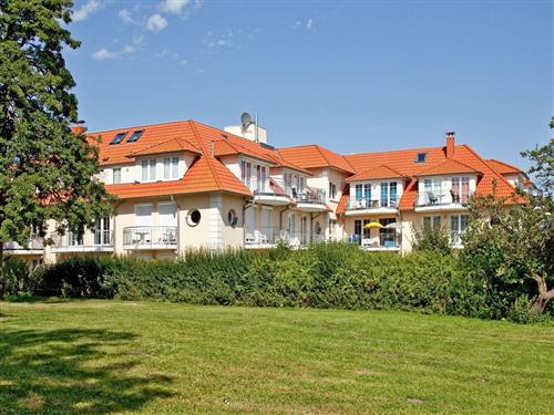 Ferielejlighed - 2 personer -  - Steilufering - 23946 - Boltenhagen