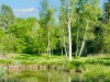 Billede 22 - Udsigt
