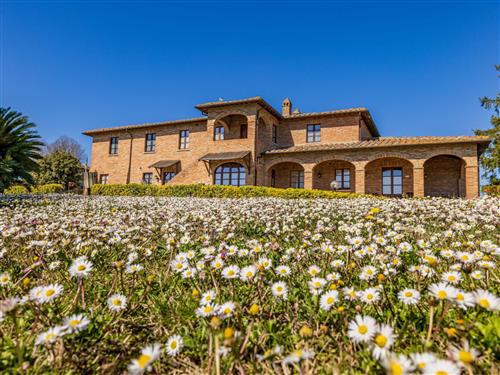 Ferieleilighet - 2 personer -  - Abbadia - 53045