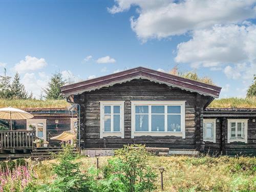 Holiday home - 10 persons -  - Alpinvegen - 3275 - Svarstad