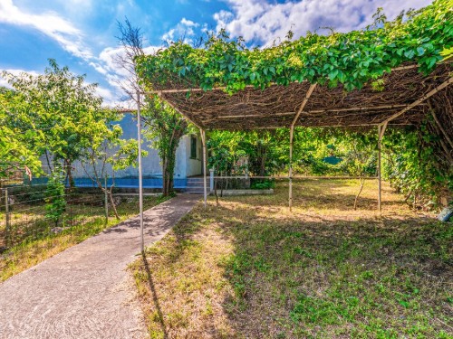 Holiday home - 4 persons -  - Antuna Branka Simica - Biograd-Pakostane - 23211 - Pakostane