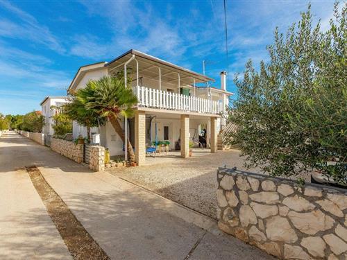 Ferielejlighed - 4 personer -  - Srednje Kucice XVI - Vir-Vir - 23234 - Vir