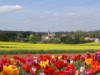 Bilde 4