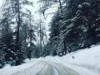 Bild 29