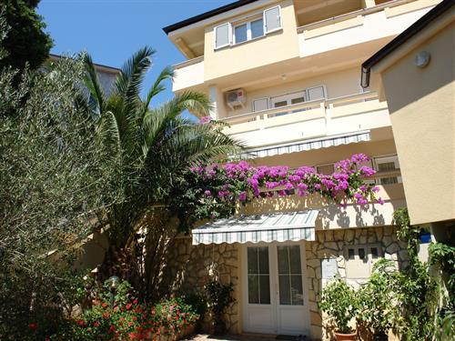 Holiday apartment - 3 persons -  - Primorska 5, Mandre - 23251 - Kolan