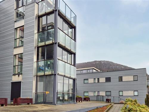 Holiday apartment - 2 persons -  - Direktør Sæthersgate - 4100 - Jørpeland