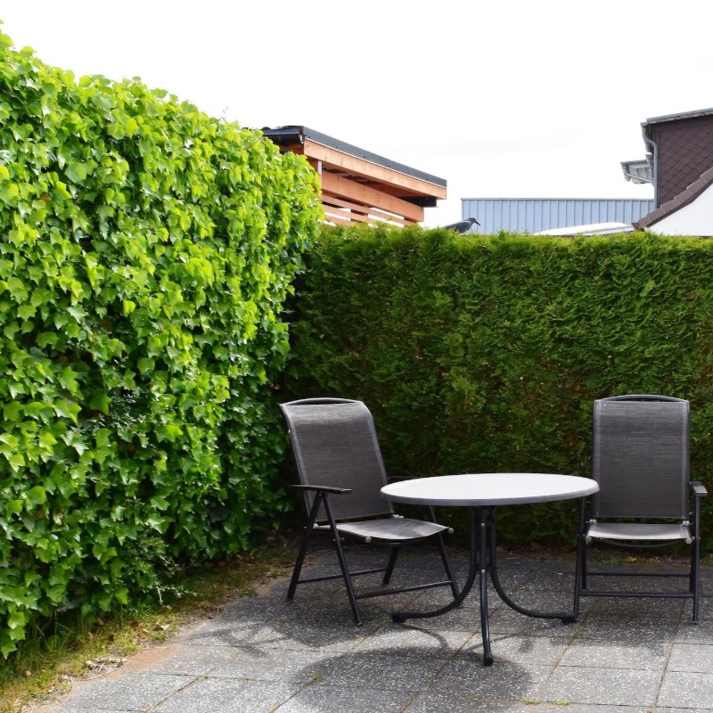 Sommerhus - 2 personer -  - 18230 - Rerik