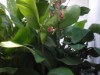 Bilde 9