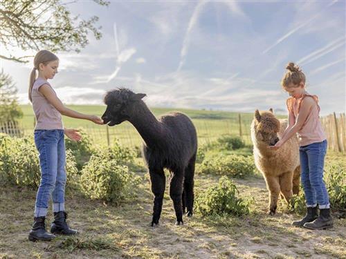 Sommerhus - 2 personer -  - Hof Hardthöhe - 55430 - Oberwesel