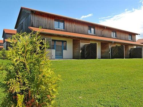 Feriehus - 6 personer -  - 38899 - Hasselfelde