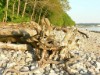 Bild 22