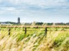 Afbeelding 15 - Ude