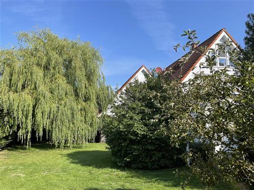 Ferieleilighet - 4 personer -  - Hafenstraße - 18375 - Prerow