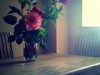 Bild 39 - Innen
