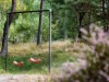 Bild 22