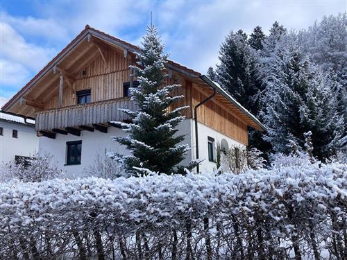 Ferieleilighet - 5 personer -  - Hans-Watzlik-Str.6 - 94252 - Bayerisch Eisenstein