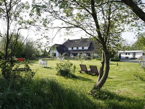 Ferienhaus - 5 Personen -  - Tümlauer Chaussee - 25826 - St. Peter-Ording