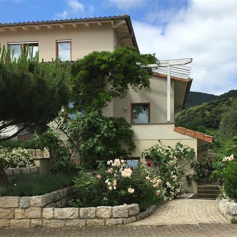 Ferielejlighed - 2 personer -  - Am Kirschgarten - 67434 - Neustadt An Der Weinstraß