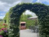 Bild 19