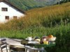 Bild 13 - Ude