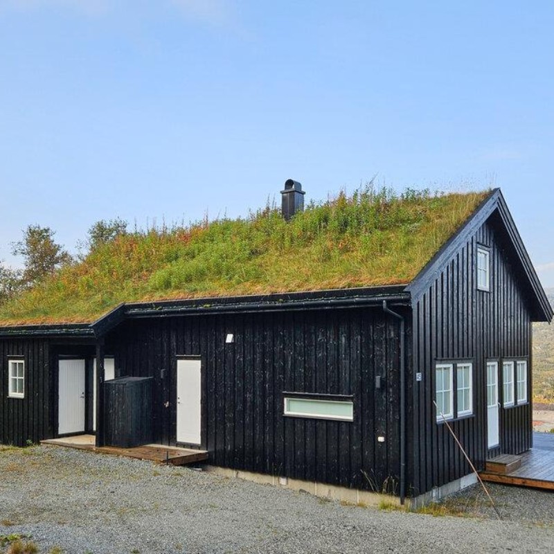 Sommerhus - 18 personer -  - Tyrveli - Haukeli - 3895 - Edland
