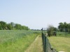 Bild 17