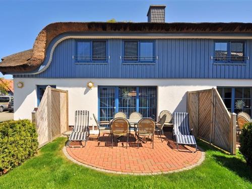 Sommerhus - 8 personer -  - Schwedengang - 18374 - Ostseeheilbad Zingst