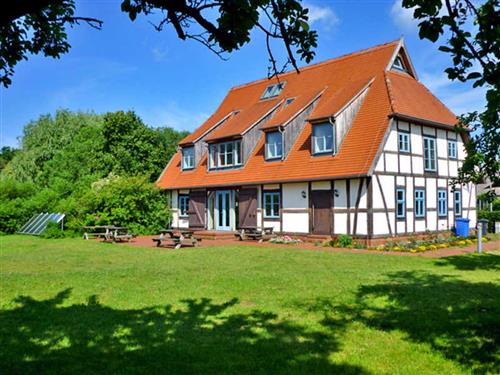 Ferienhaus - 15 Personen -  - Krummenhagener Straße - 18442 - Steinhagen