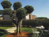 Image 46