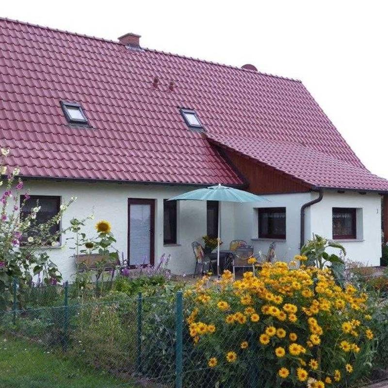 Ferielejlighed - 4 personer -  - Mooskoppel - 17258 - Feldberger Seenlandschaft