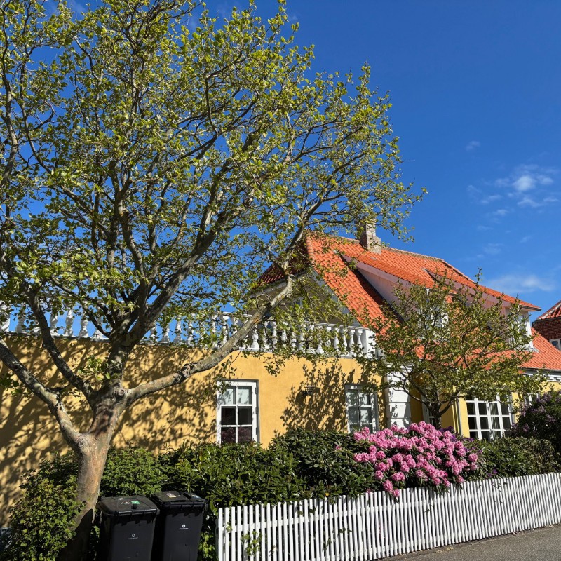 Villa - 9 Personen -  - Skovvej - Skagen - 9990