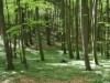 Bild 17