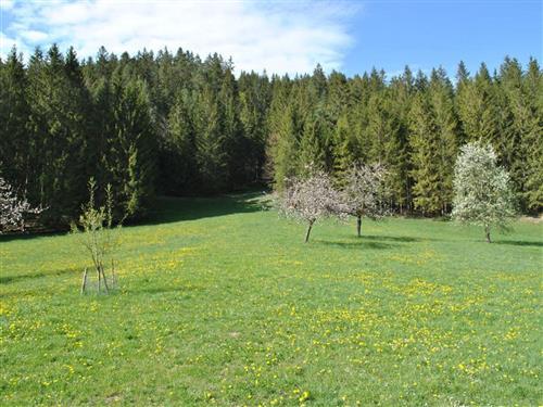 Semesterlägenhet - 6 personer -  - Weißenbach - 3293 - Lunz Am See