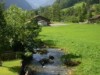 Bild 20 - Ude