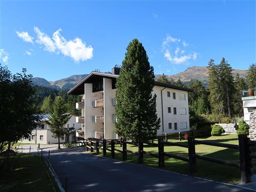 Holiday apartment - 4 persons -  - Lenzerheide - 7078