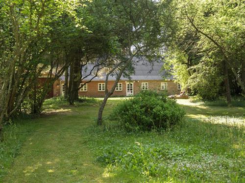 Sommerhus - 6 personer -  - Græmvej - Vester Husby - 6990 - Ulfborg