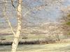 Bild 38