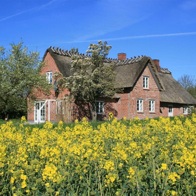 Sommerhus - 6 personer -  - Goosend - 24395 - Gelting