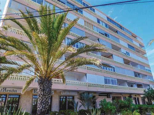 Semesterlägenhet - 3 personer -  - Avd.de los Europeos,Edif.Paris - Torrevieja/La Mata - 03188 - Torrevieja-La Mata
